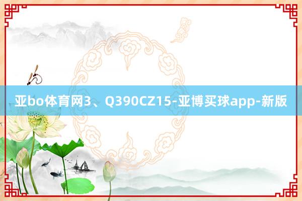 亚bo体育网3、Q390CZ15-亚博买球app-新版