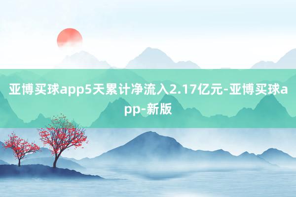 亚博买球app5天累计净流入2.17亿元-亚博买球app-新版